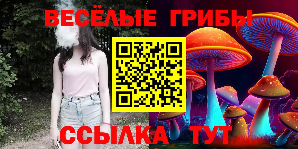 Галлюциногенные грибы Psilocybe Верхний Уфалей