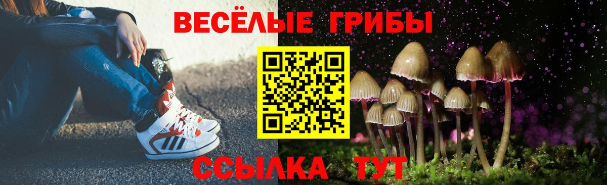 Псилоцибиновые грибы Cubensis  Галлюциногенные грибы мицелий  Верхний Уфалей  где можно купить   Вход с VPN 